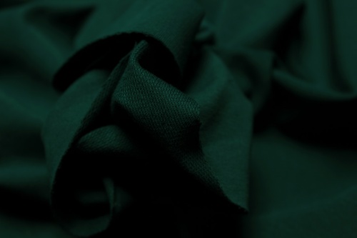 Футер с лайкрой 2-х нитка петля (95% хб) темно-зеленый артикул 01-1479 фото 2