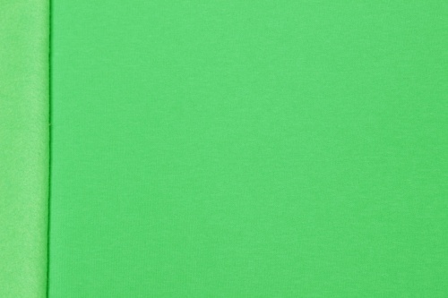 Футер 3-х нитка начес весенняя зелень артикул 01-1750 фото 6